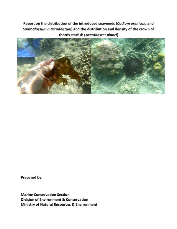interim_report_marine_IAS_Samoa_1.pdf.jpeg