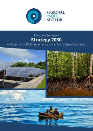 executive-summary-strategy-2030.pdf.jpeg