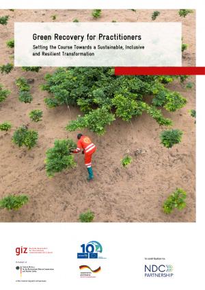 green-recovery-practitioners-sustainable-inclusive.pdf.jpeg