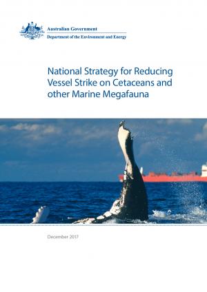 vessel-strike-strategy.pdf.jpeg