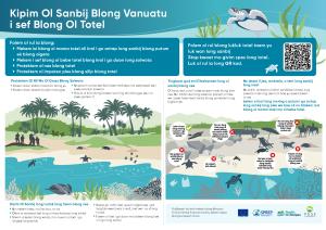 005-BISLAMA-A3-Turtle-friendly-beaches.pdf.jpeg